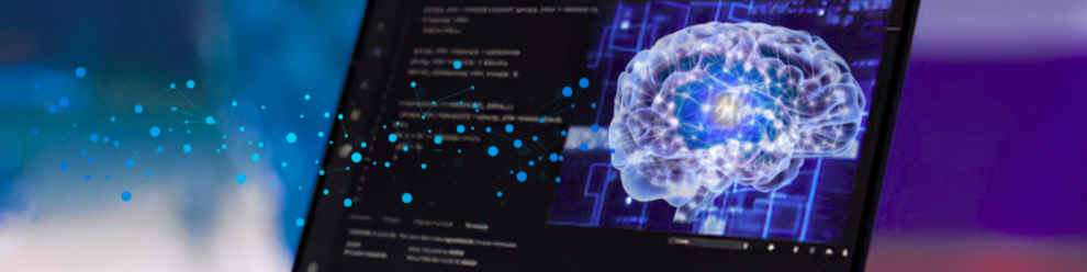 A Beginner's Guide to Deep Learning Basics